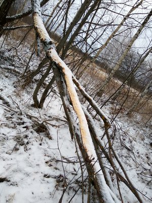 IMG_20181125_113424_HDR.jpg