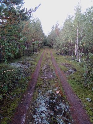 IMG_20180816_160844.jpg