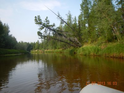 DSCN1555.jpg