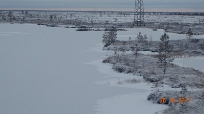 DSC00911.jpg