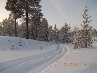 DSCN0107.jpg