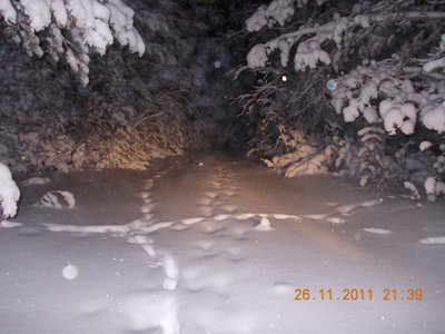 DSCN0036.jpg