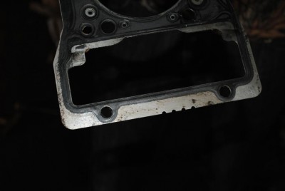 DSC_0214.JPG