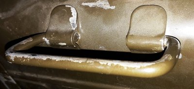20181210_180121.jpg