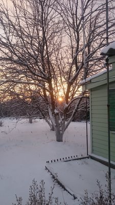 DSC_1104.JPG