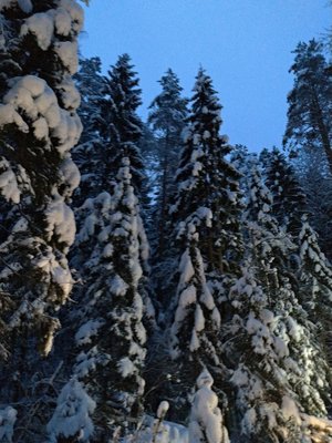 P_20190105_163739_vHDR_Auto.jpg