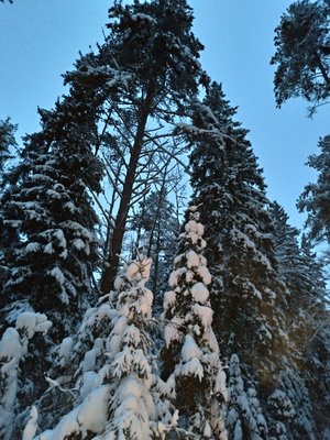 P_20190105_163837_vHDR_Auto_HP.jpg