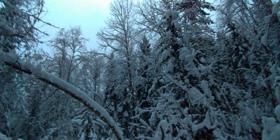 P_20190105_160427_vHDR_Auto_HP.jpg