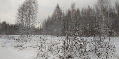 P_20190105_132024_vHDR_Auto.jpg
