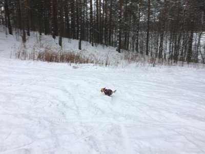 B615DADB-114B-4CCC-8168-5F0CC9525F0E.jpeg