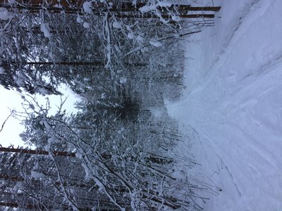 AD54167F-3E02-44F4-8152-9535895387F1.jpeg