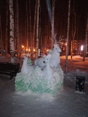 IMG_20190109_182932.jpg