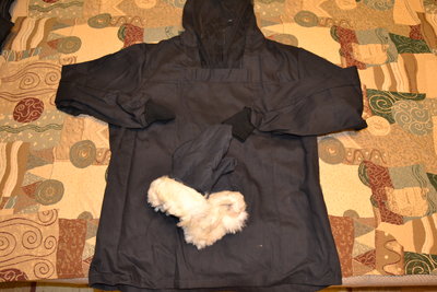 DSC_0121.JPG