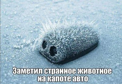 жжж.JPG