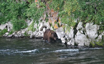 IMG_5444.JPG