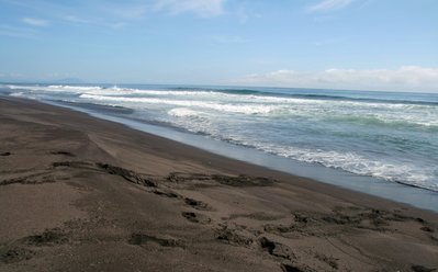 IMG_5805.JPG