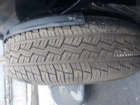 20190212_150024.jpg