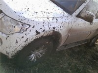 97d4f98ab9bd.jpg