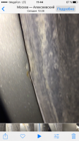 IMG_9495.PNG