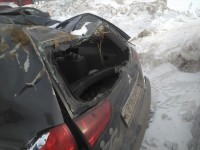 IMG_2019-02-23_121427.jpg