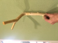 IMG_2169.JPG