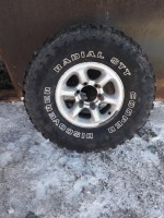 20190316_171124.jpg