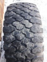 20190316_171213.jpg