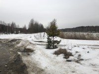 76E3E541-E060-49A0-97CD-6B4430A92235.jpeg