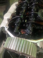 IMG-20190328-WA0019.jpg