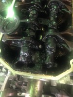 IMG-20190328-WA0020.jpg
