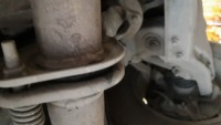 IMG-20190330-WA0002.jpeg