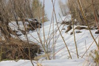 IMG_4190.JPG