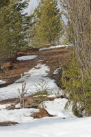 IMG_4197.JPG