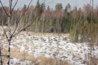 IMG_4205.JPG