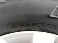 IMG_20190324_103909.jpg