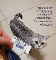 D3NdhRkX4AAt4bB.jpg