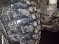 IMG_20190310_201016.jpg