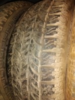 IMG_20181201_154453.jpg