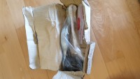 20190414_105312.jpg