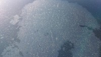 DSC_1159.JPG
