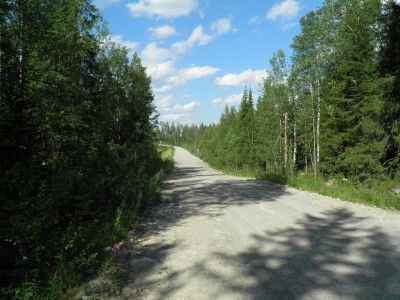 Грунтовки.JPG