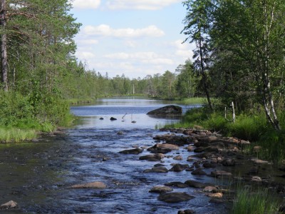 Карельские реки.JPG