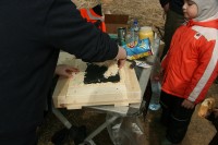 IMG_6023.JPG