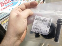 IMG_20190426_115627.jpg