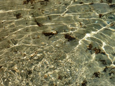 вода как слеза...или водка))
