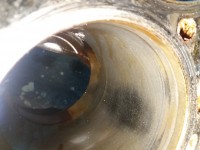 20190427_170821.jpg