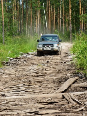 дорога.JPG