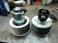 8639ff5s-1920.jpg