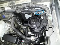 20190520_175625.jpg