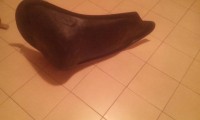IMG-20180222-WA0070.jpg